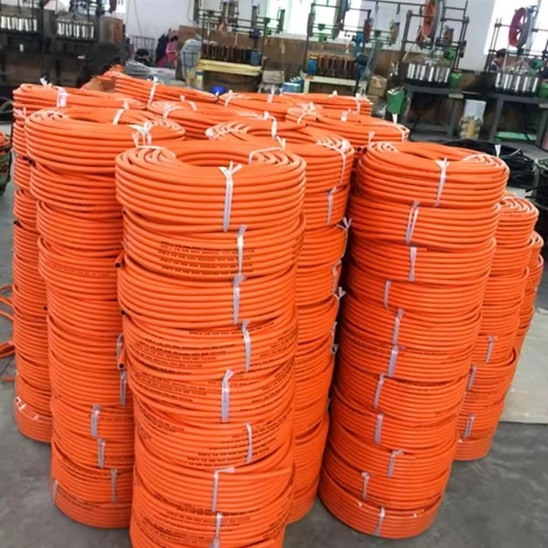 LPG HOSE