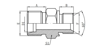 1CM-WD